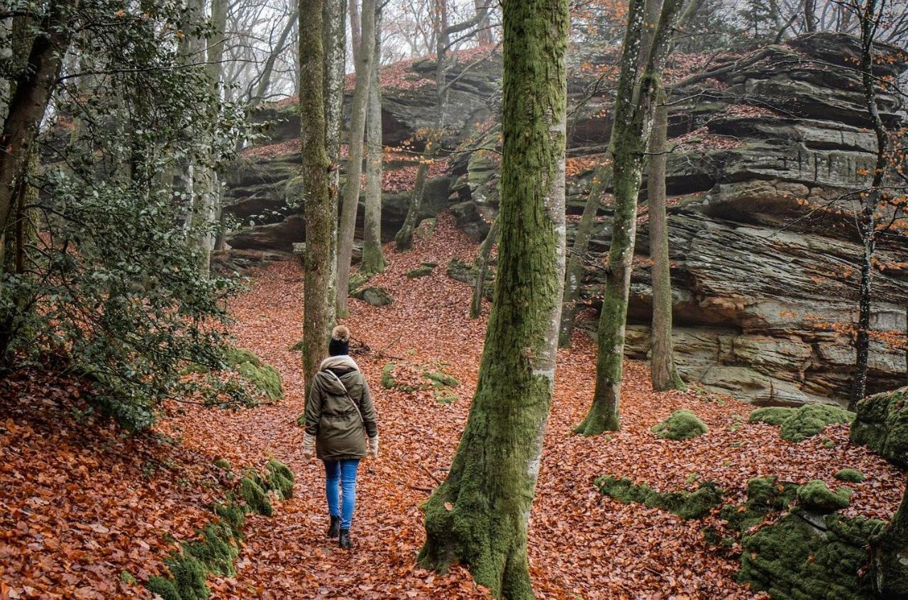 Gasthof Zur Burgruine Pottenstein Exteriör bild